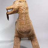 Mario Lopez Torres - Coyote Bench