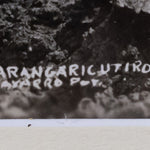 Description reads, "112. Parangaricutiro Mich. Navarro Por."
