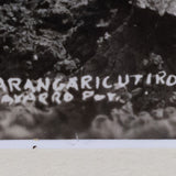 Description reads, "112. Parangaricutiro Mich. Navarro Por."